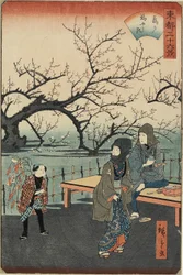 Pflaumenbäume in Kameido, 1859-1862
